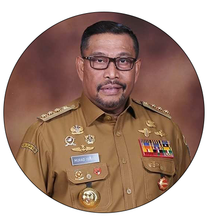Murad Ismail
